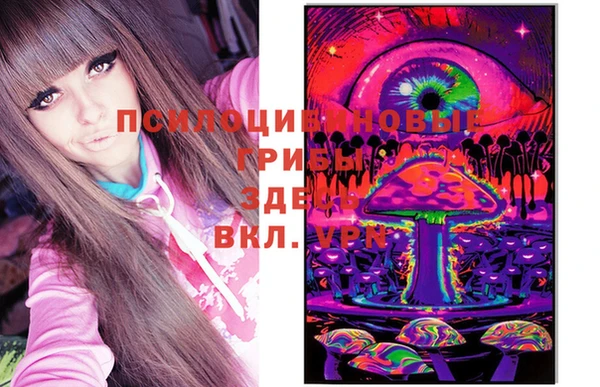 jwh Богородицк
