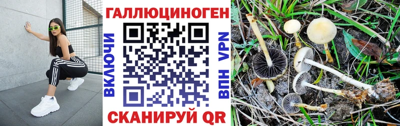 Псилоцибиновые грибы мицелий  где найти наркотики  OMG онион  Краснодар 